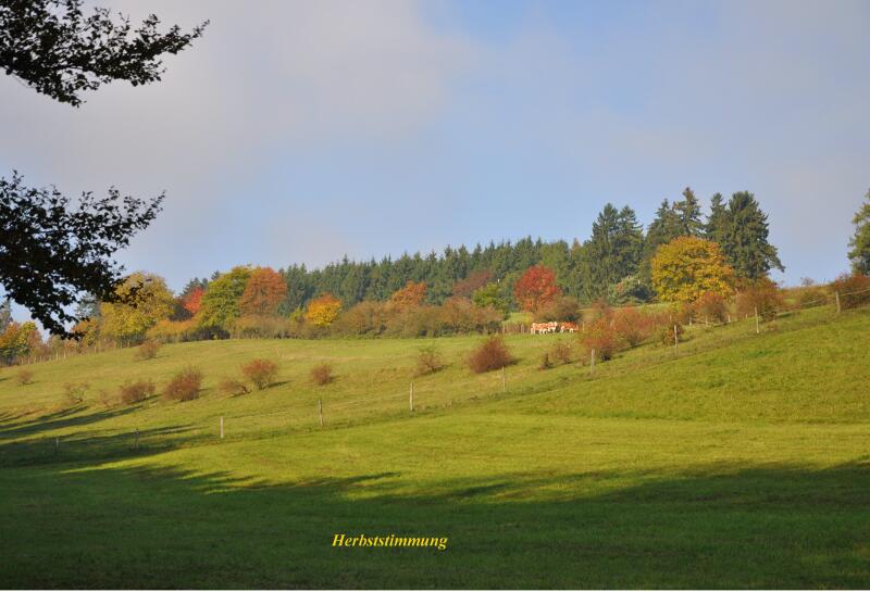 Herbststimmung