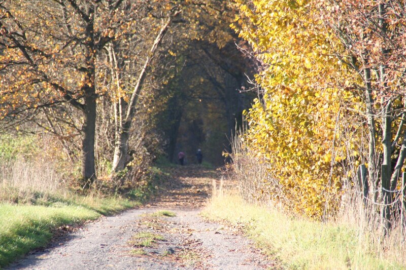 Herbstspaziergang 2015
