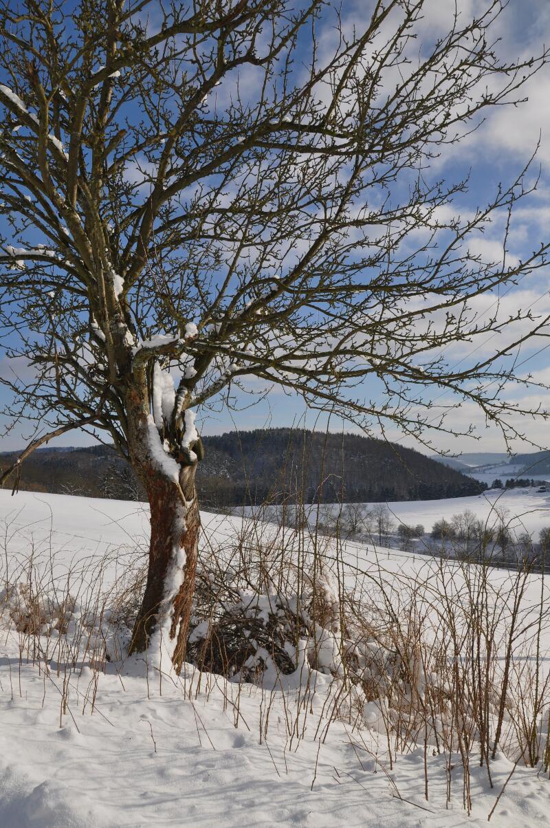 Winterlandschaft
