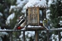 Willste was auf den Schnabel?.